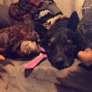 Meet your Posher, Olive